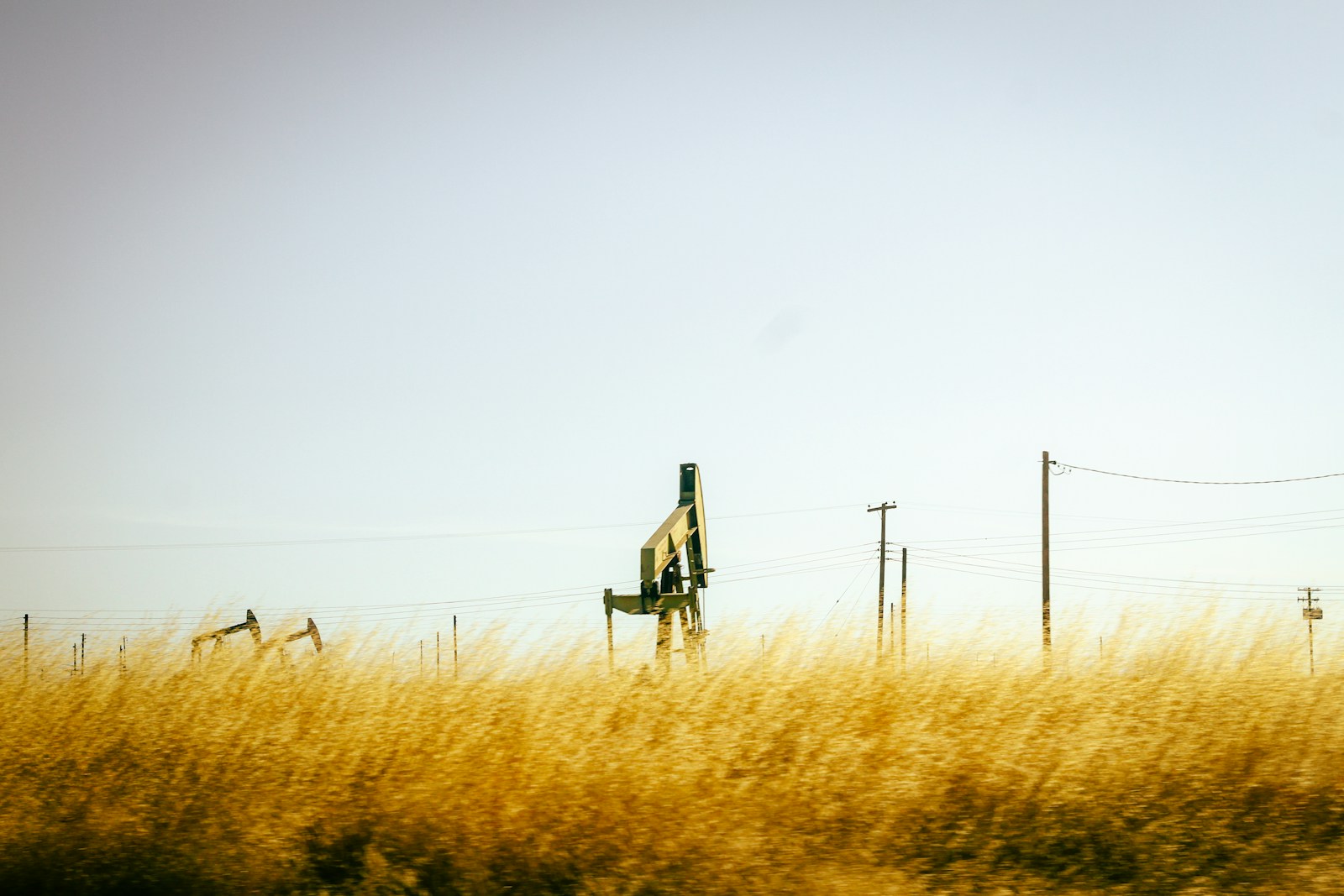 Oil pump jacks operating in an open field